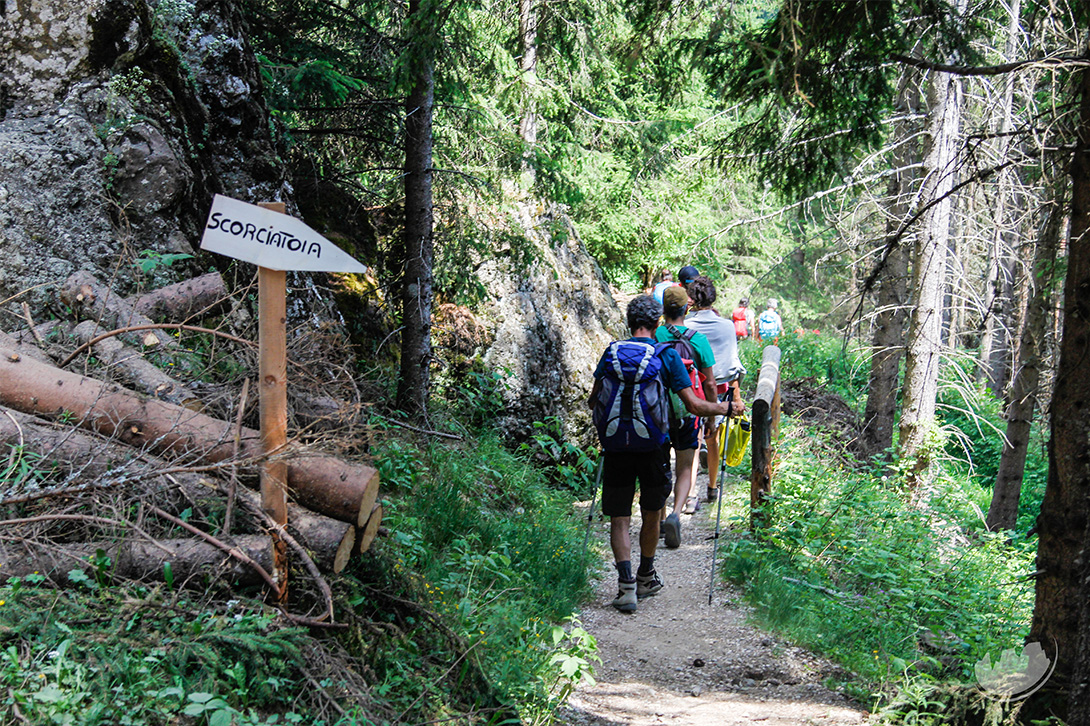 hiking in the forest val di fassa