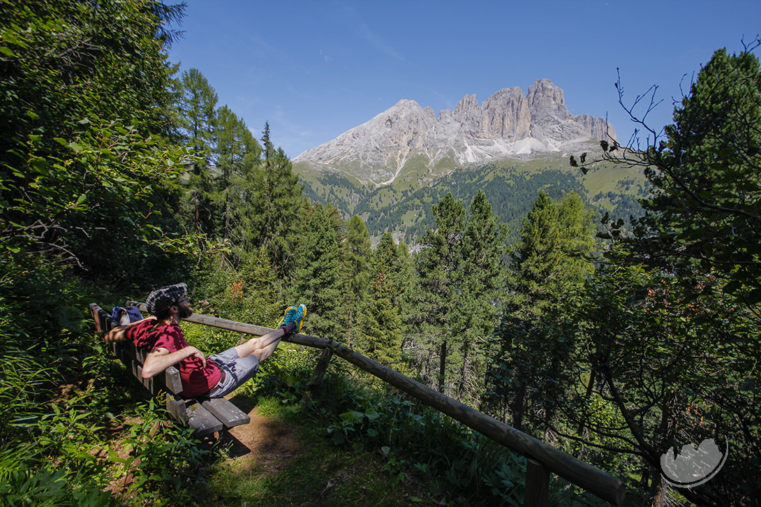 Vista del Sassolungo Val di Fassa